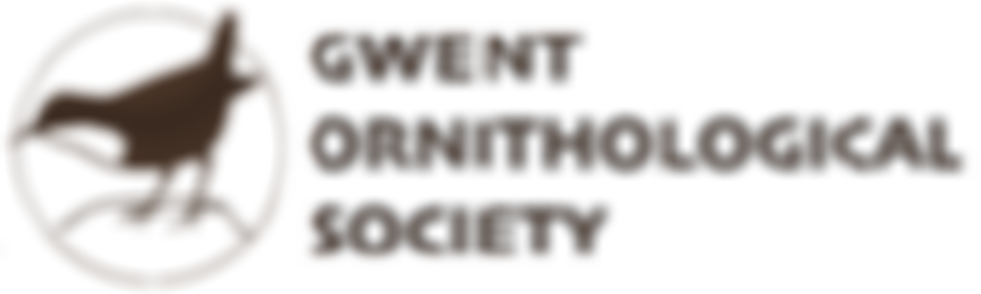 The Gwent Ornithological Society | Charici