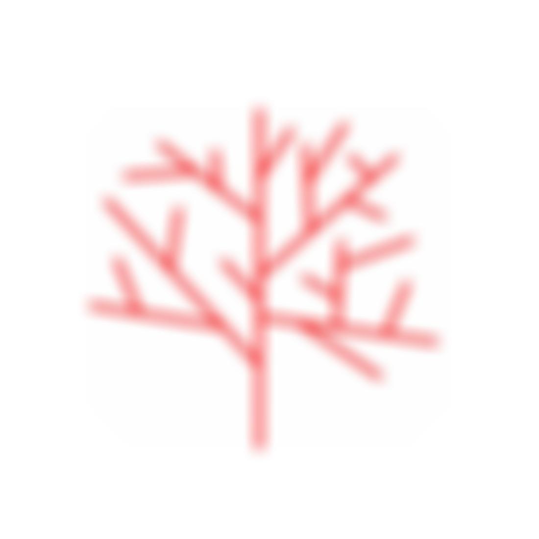 Branch | Charici