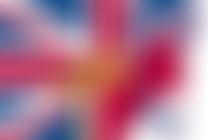 The British Mule Society | Charici