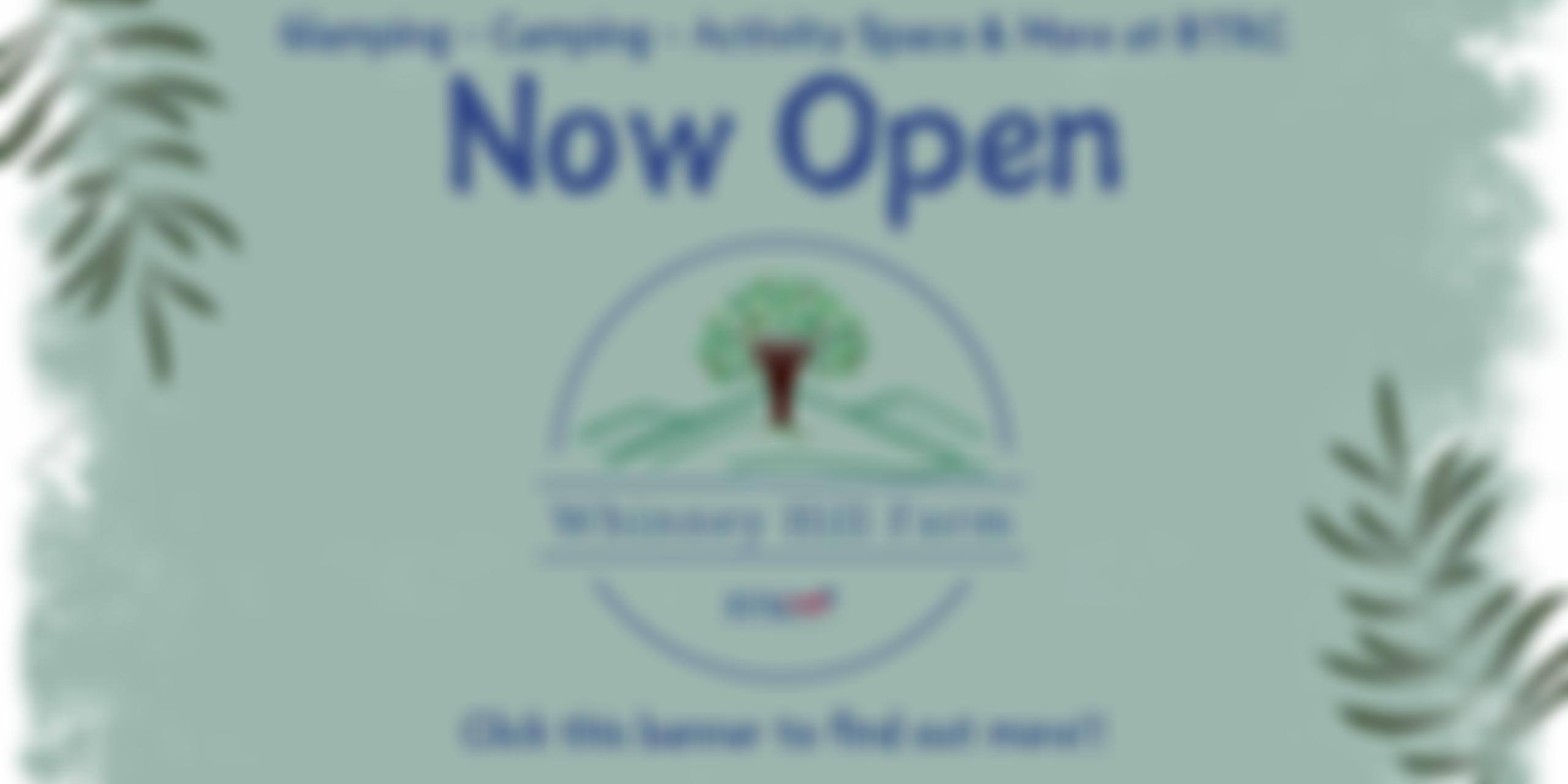 The British Thoroughbred Retraining Centre | Charici