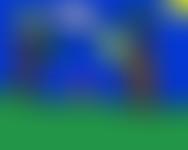 Child Of Lebanon | Charici