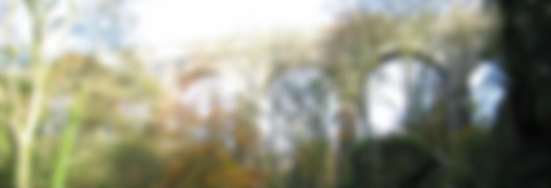 The Friends Of Luxulyan Valley | Charici