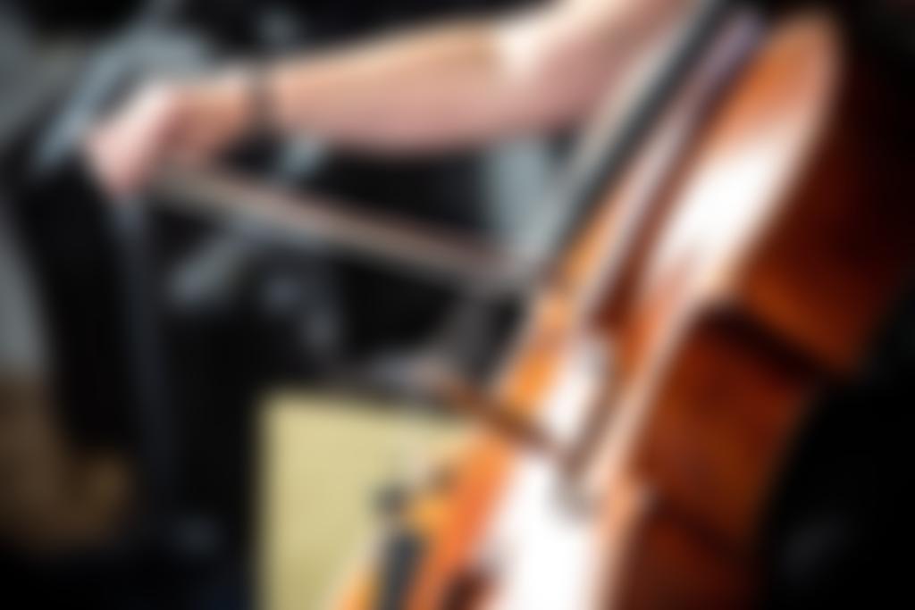 Ensemble Cymru | Charici