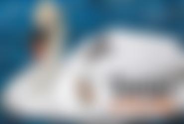 Swan Rescue Sanctuary | Charici