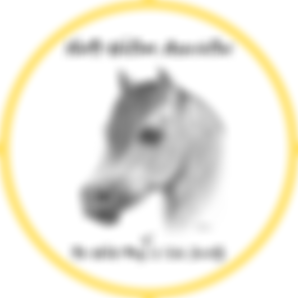 North Western Association Of The Welsh Pony And Cob Society | Charici