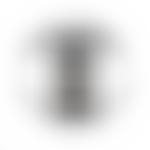 Dene Valley Community Transport Ltd | Charici