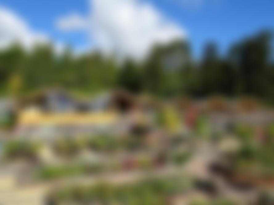 The Batsford Foundation | Charici