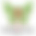 Treat Trust Wales | Charici