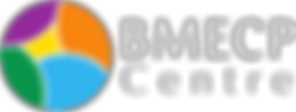 Black & Minority Ethnic Community Partnership | Charici