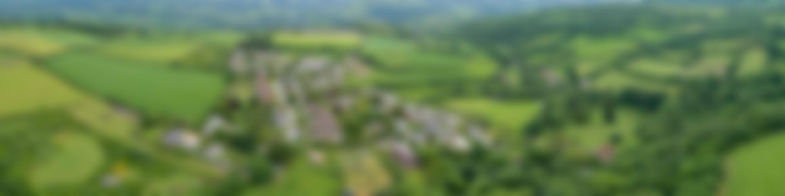 The Bridford Trust | Charici