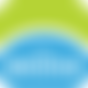 Bridge Mentoring Plus Scheme | Charici