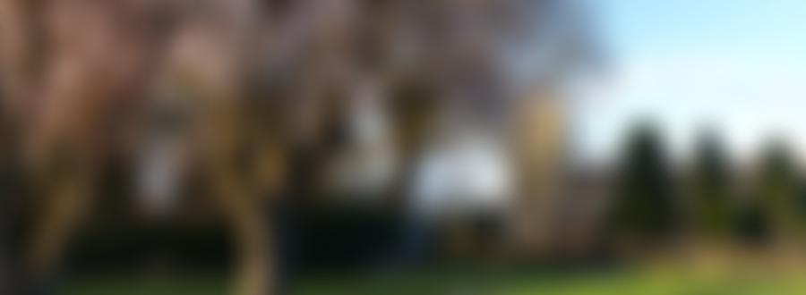 Dersingham Parochial Church Council | Charici