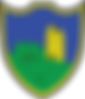 Bruton Primary School Psa | Charici