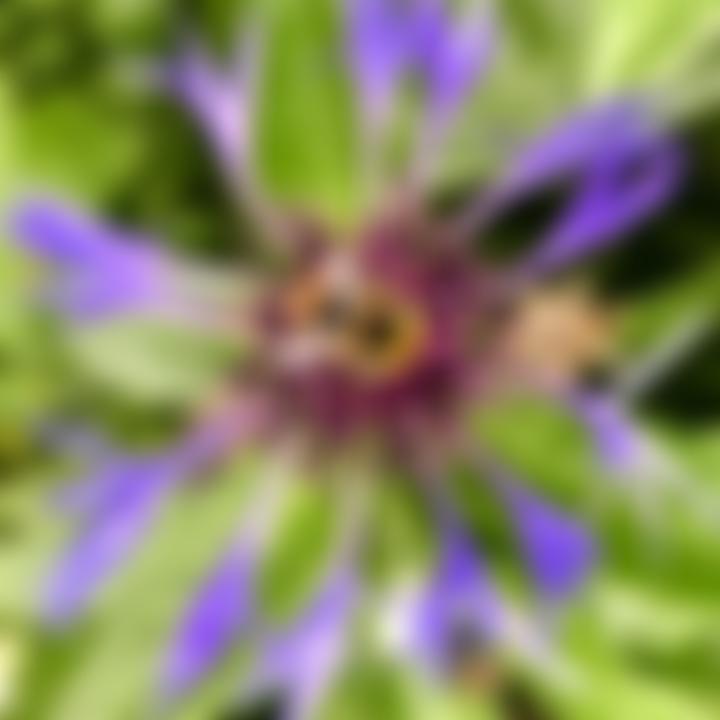 Foxholes Village Hall | Charici