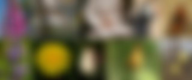 Cardiff Naturalists Society | Charici