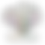 Darul-Arqam Educational Trust | Charici