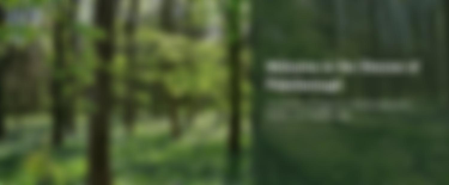 The Peterborough Diocesan Board Of Finance | Charici