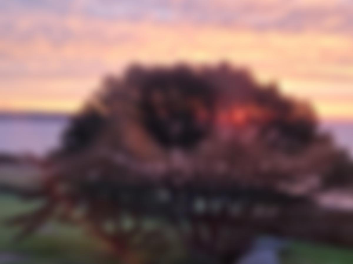 The Mid Devon Community Family Trust | Charici