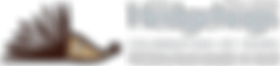 The Hedgehogs | Charici