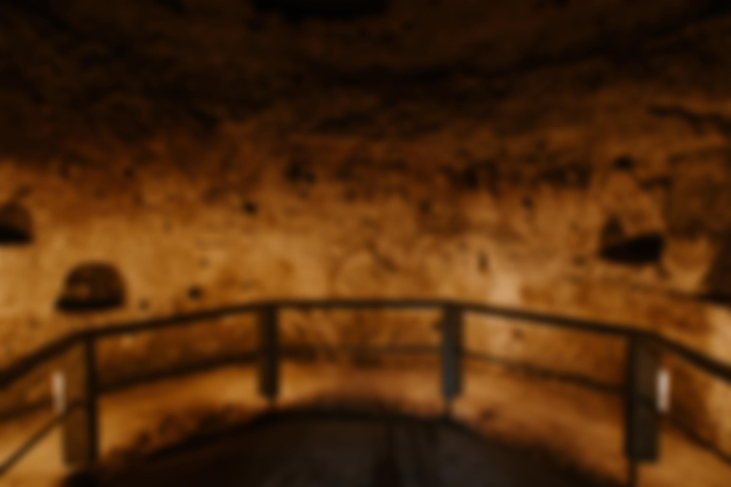 Royston Cave Trust Fund | Charici