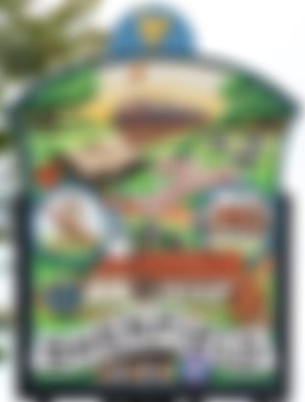 Shenfield University Of The Third Age | Charici