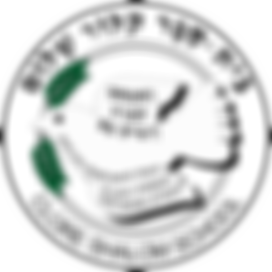 Clore Shalom School Parent Teacher Association | Charici
