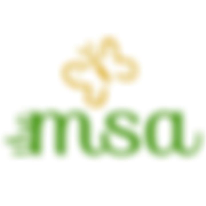 Meadowdale School Association | Charici