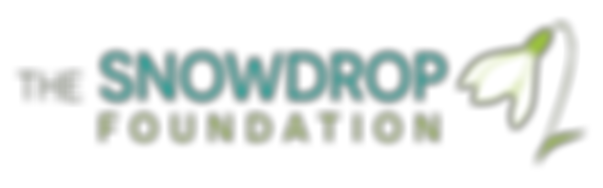 The Snowdrop Foundation | Charici