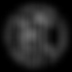 Robin Hood Theatre Trust | Charici