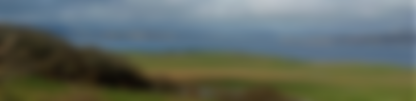 Sarimilla Trust | Charici