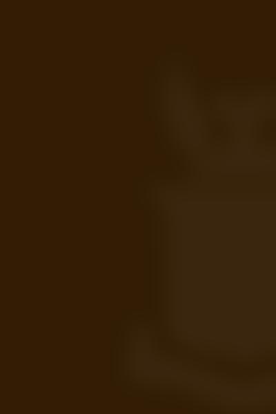 The Parmiter's School Parents' Association | Charici