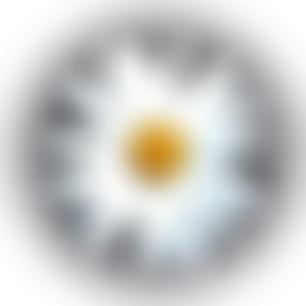 Wetherby In Bloom | Charici