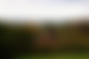 Charity For The Advancement Of The Roman Catholic Religion In The Roman Catholic Dioceses Of Southwark And Arundel And Brighton | Charici