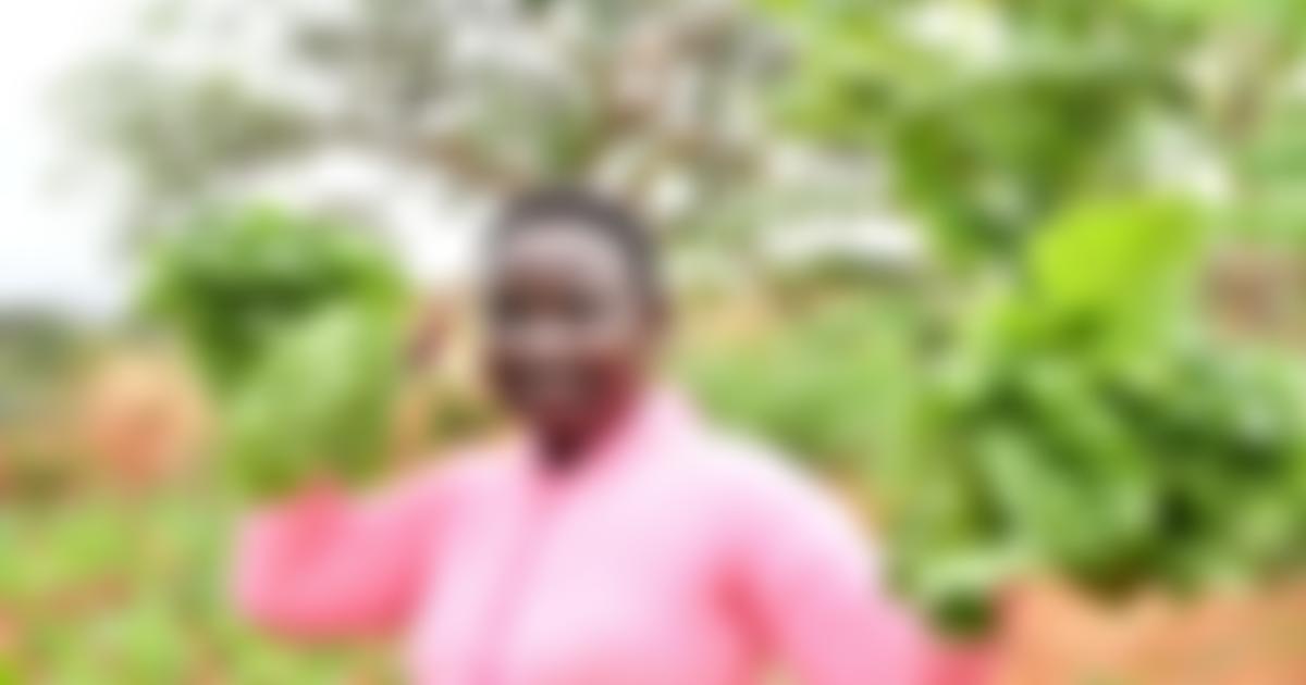 Sand Dams Worldwide Limited | Charici