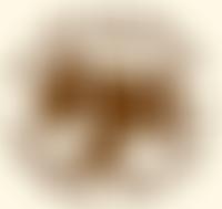 Harleston Choral Society | Charici