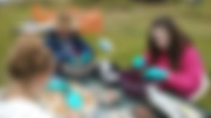 Poulton Research Project Limited | Charici