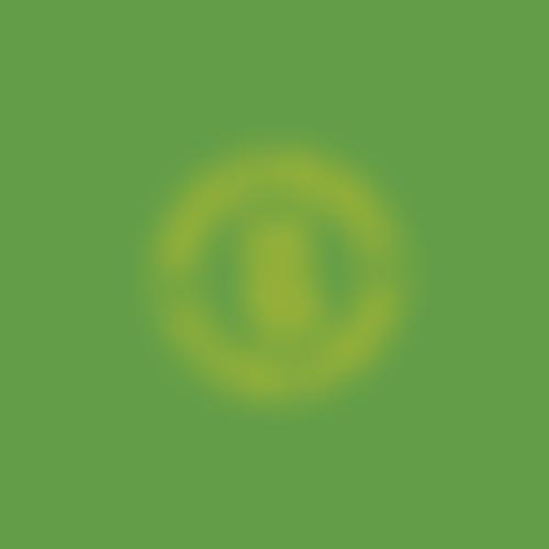 Friends Of Thomas Russell Junior School | Charici