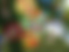 Togs Centre | Charici