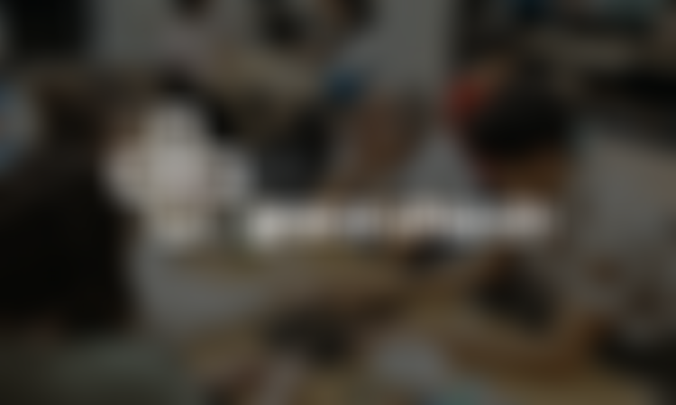 Grace Trust (Bristol) | Charici