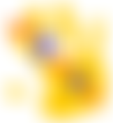 Meersbrook Park After School Club | Charici