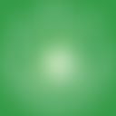 Animal Rescue And Care | Charici