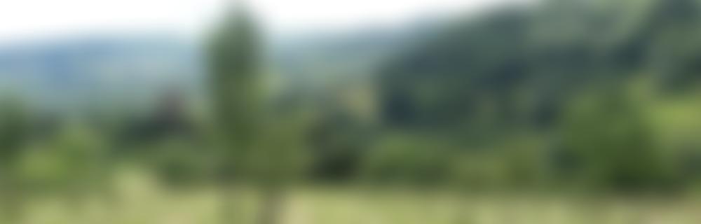 Marcher Apple Network | Charici