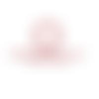 The Strawberry Hill Trust | Charici