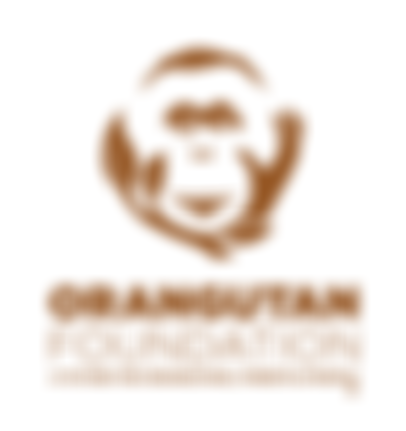 Orangutan Foundation | Charici