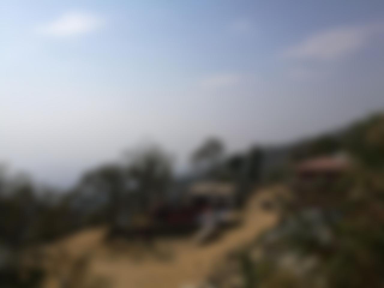 Foundation Human Nature (England) | Charici