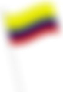 Children Of Colombia | Charici