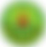 St Peters Catholic Primary School Parents And Friends Association | Charici