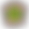 Eight Ash Green Cricket Club | Charici
