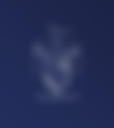 Sir William Borlase's Grammar School Fund | Charici