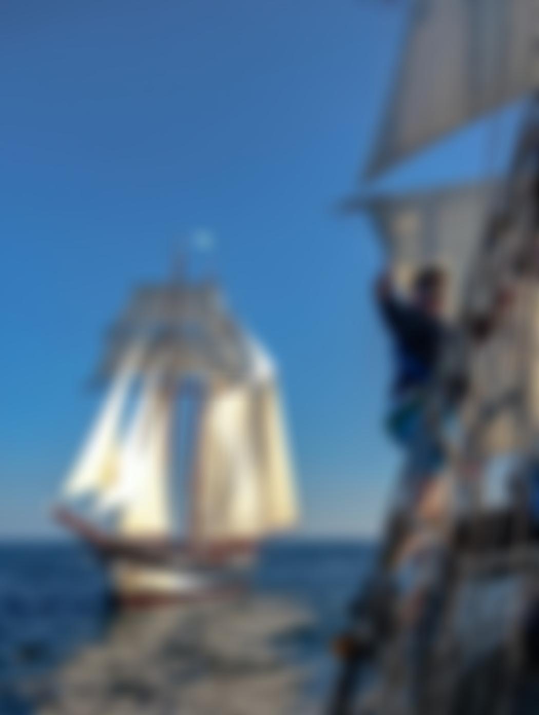 Sail Training International | Charici